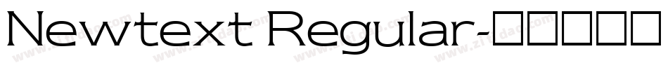 Newtext Regular字体转换